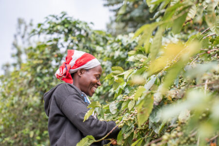 Is Your Coffee Dream Within Reach? The Story of Rwandan Coffee Farmers.