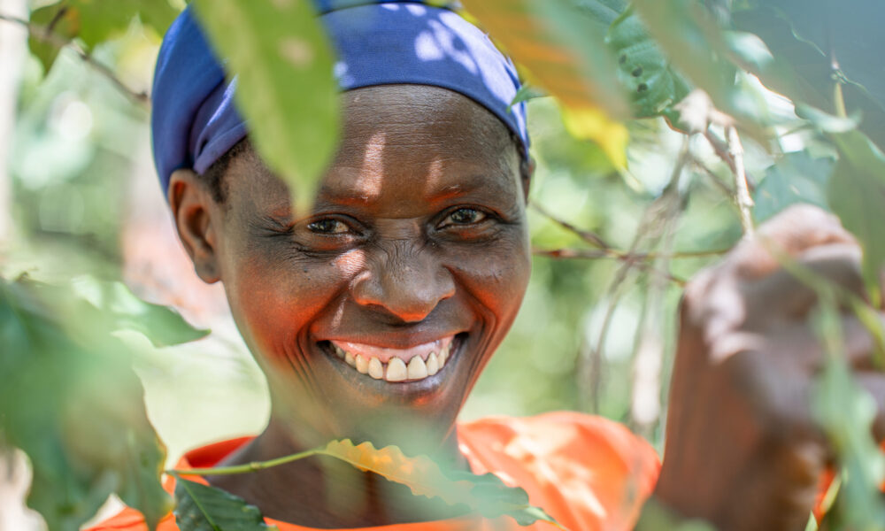 Women at kawah coffee farm