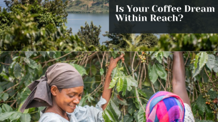 The History of Coffee Farming in Rwanda